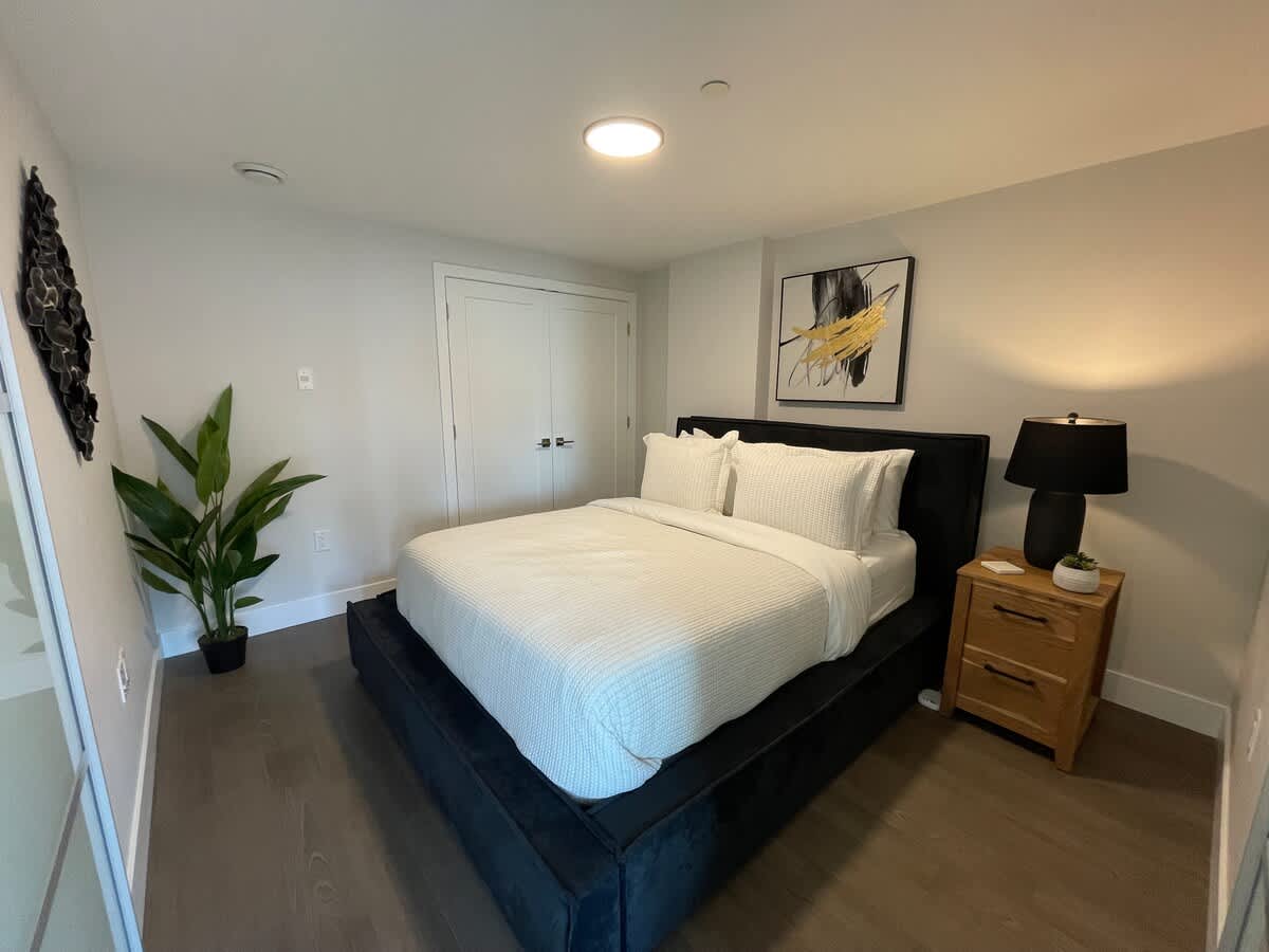 Large 1 BR downtown with lots of sunlight