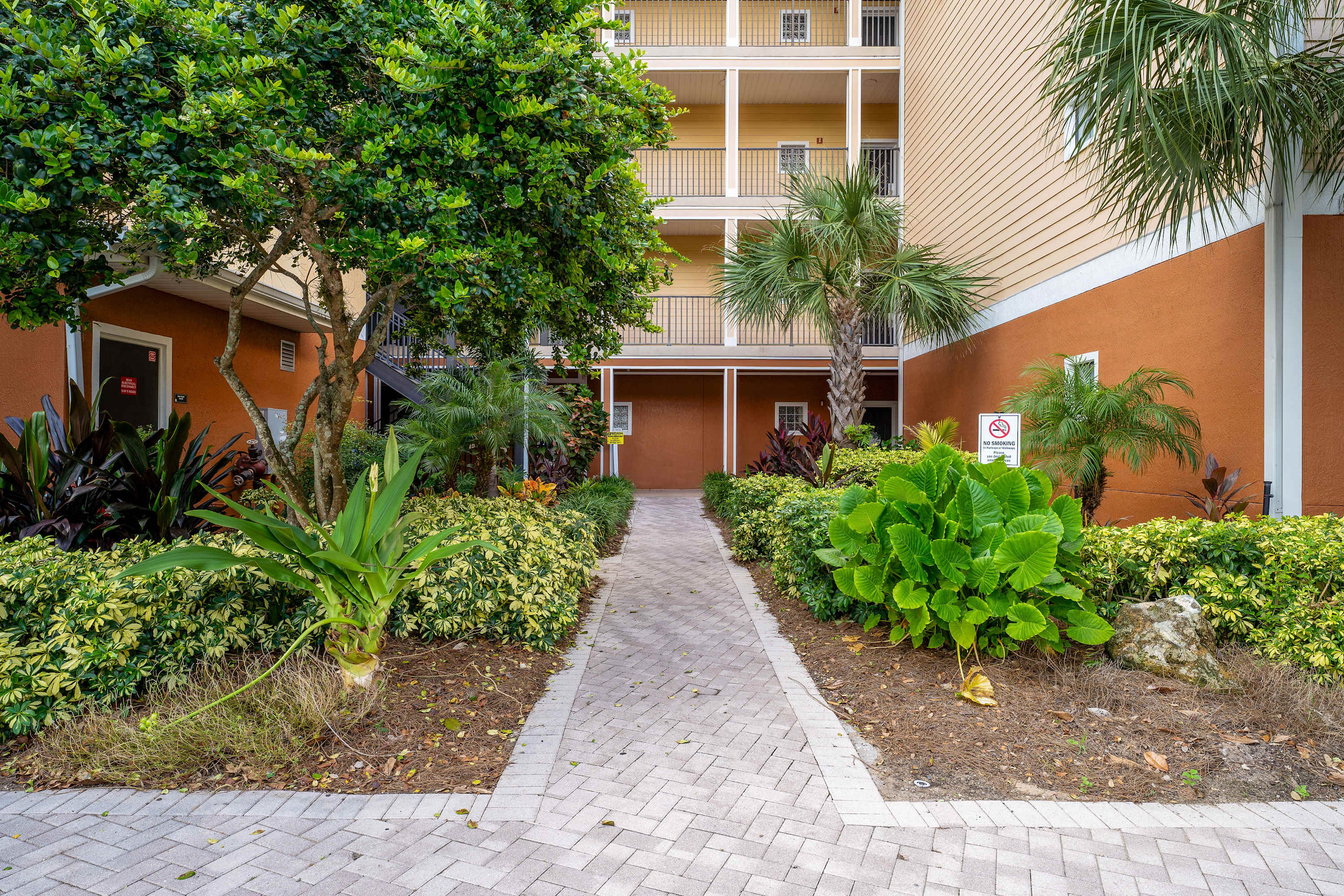 Cozy Cove - Caribe Escape for 8! 4