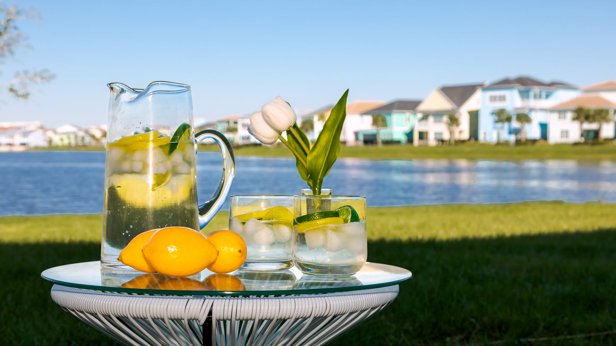 No Way Rose - Nearby Disney World & Universal!