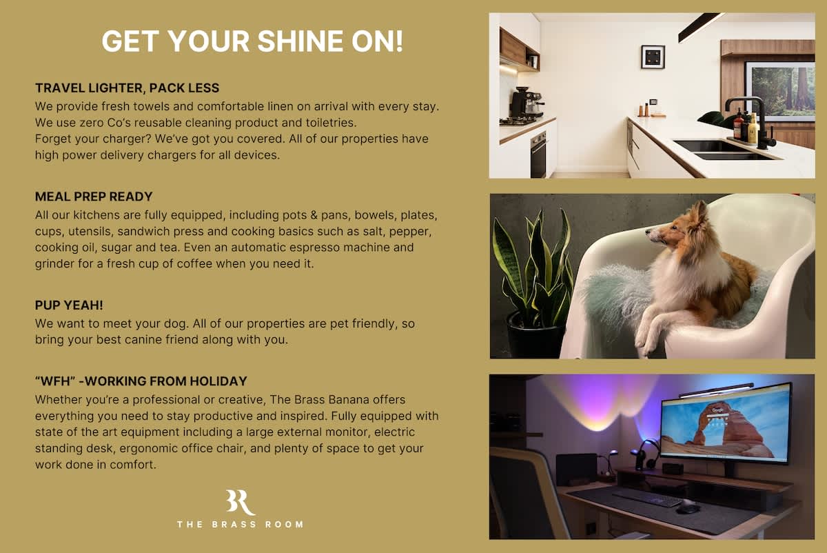 The Brass Banana - Photo 10