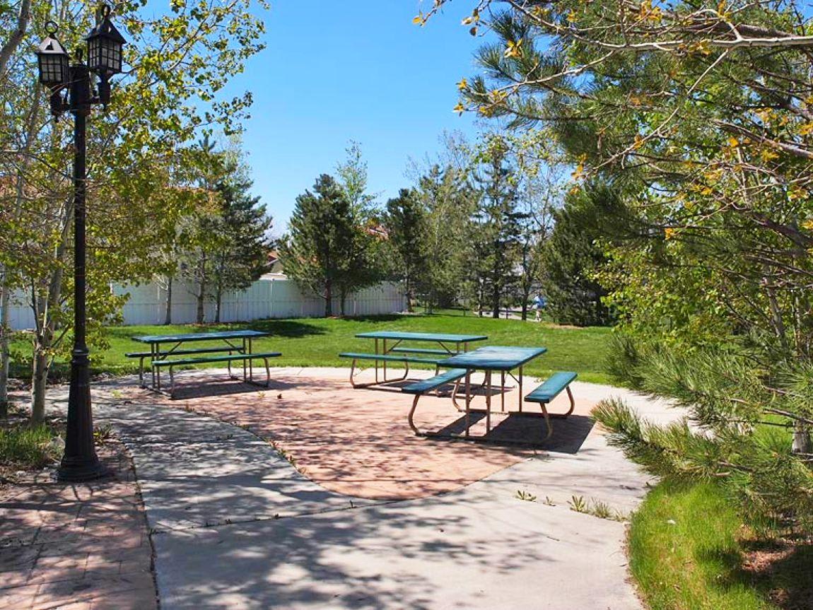 Common area green space in the community