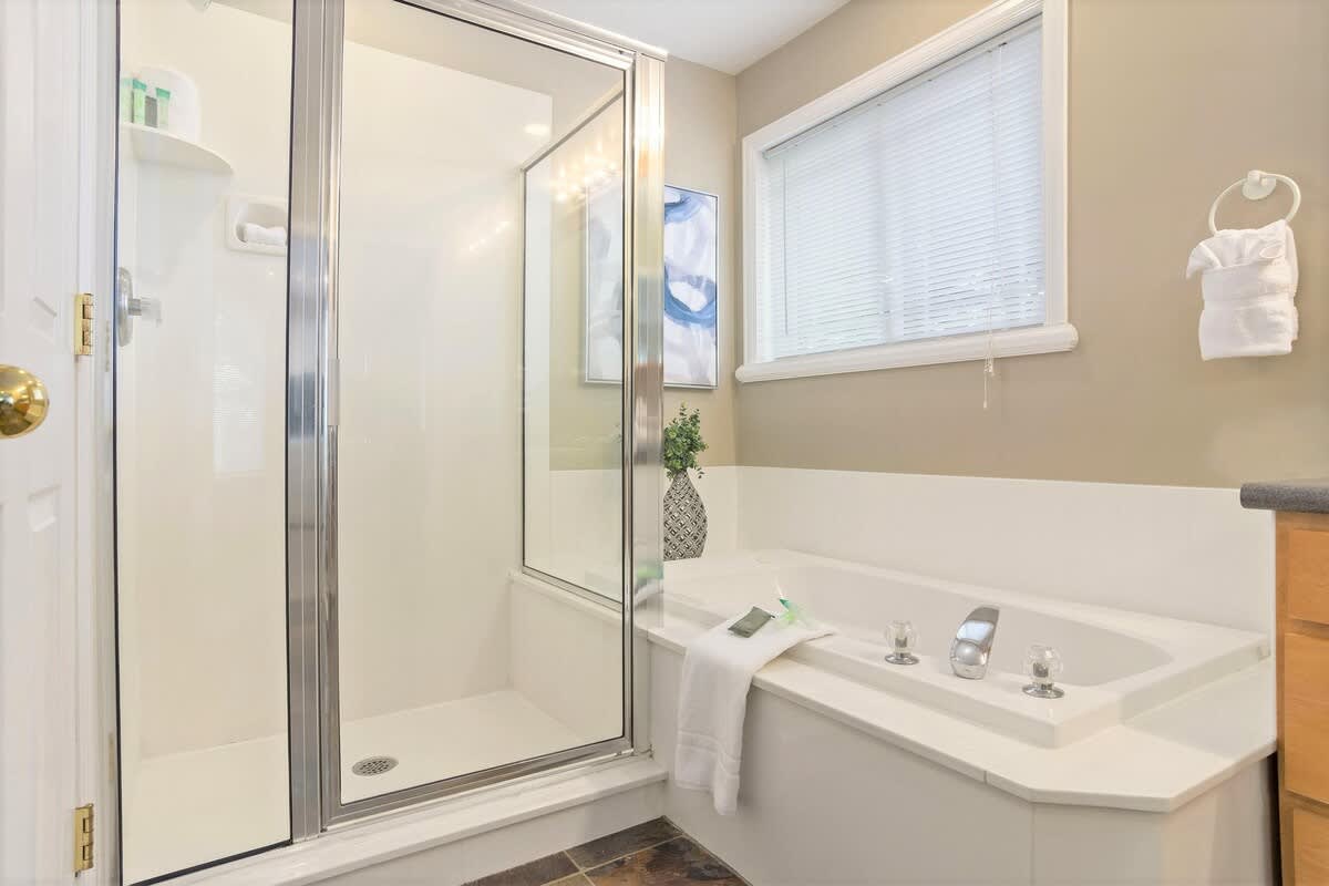 Master bathroom tub and shower