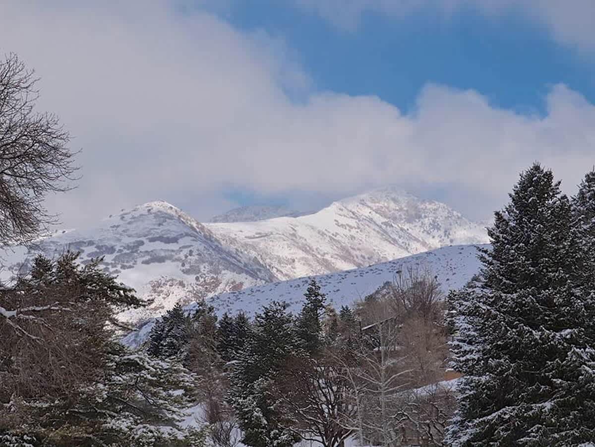 Winter Wonderland for Skiers and Snowboarders
