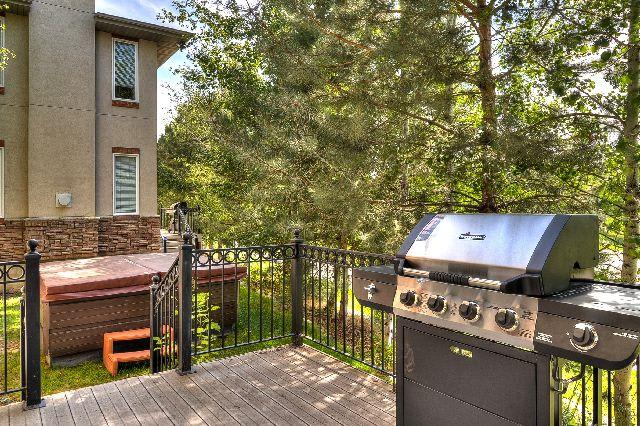 Private deck and hot tub under mature pine trees