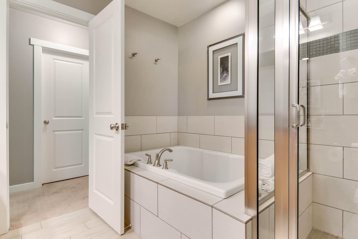 Tub and shower in remodeled master bathroom