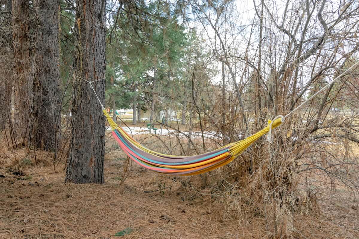 Hammock