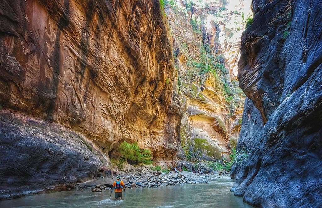 Hike through the breathtaking Narrows at Zion Park
