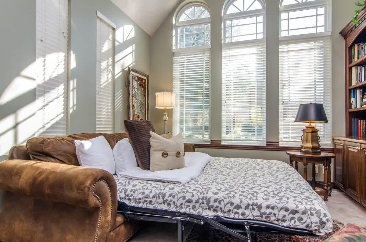 Den with sofa sleeper and literature library