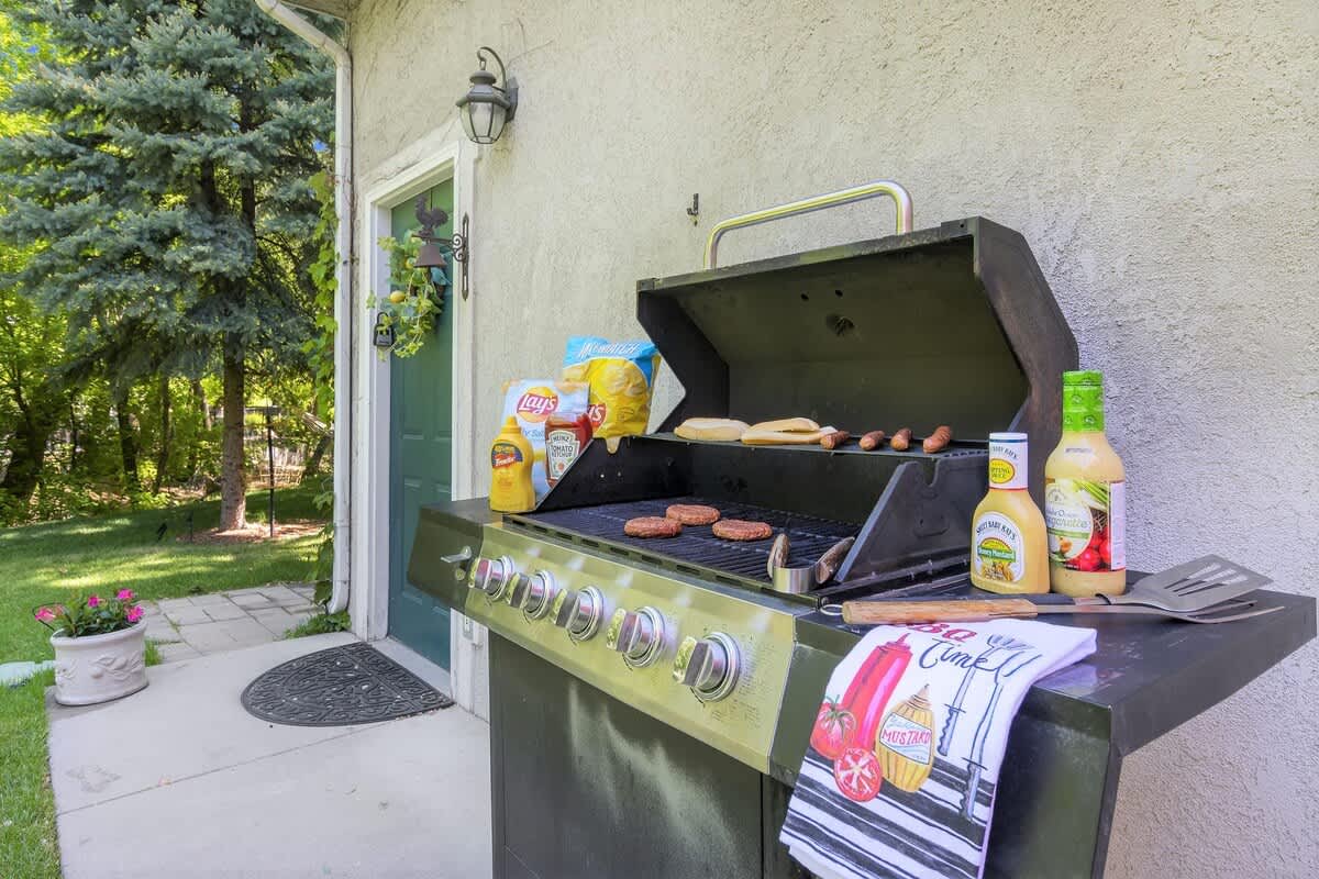 Propane barbecue provided for grilling together