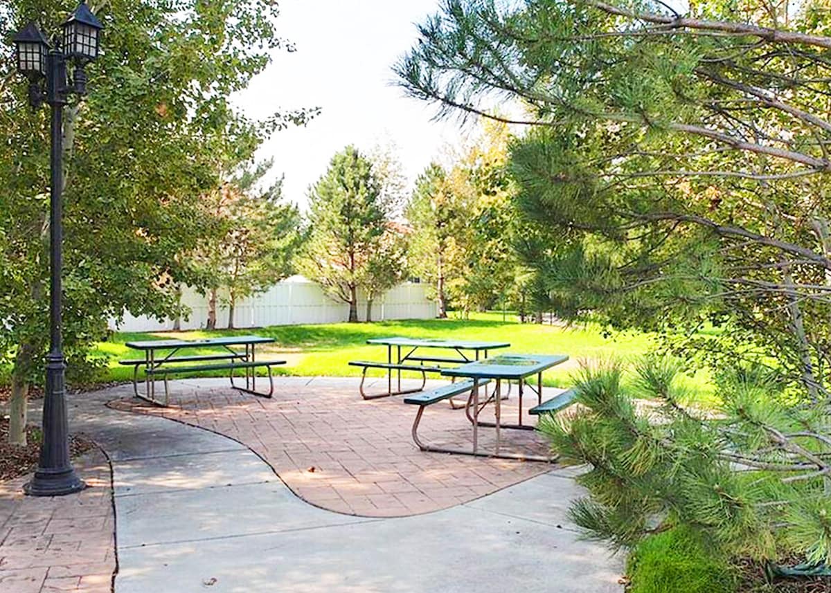 Common area park inside the community with shaded green space