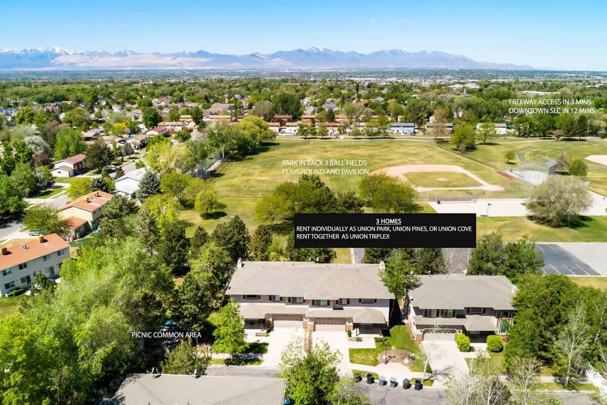 Aerial view of the 3 homes backing the park together in one area