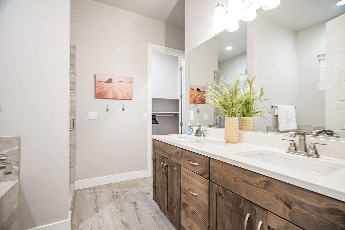 Master bathroom dual sink vanity