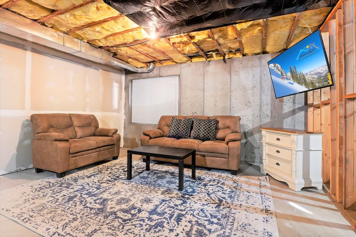 Basement TV lounge area