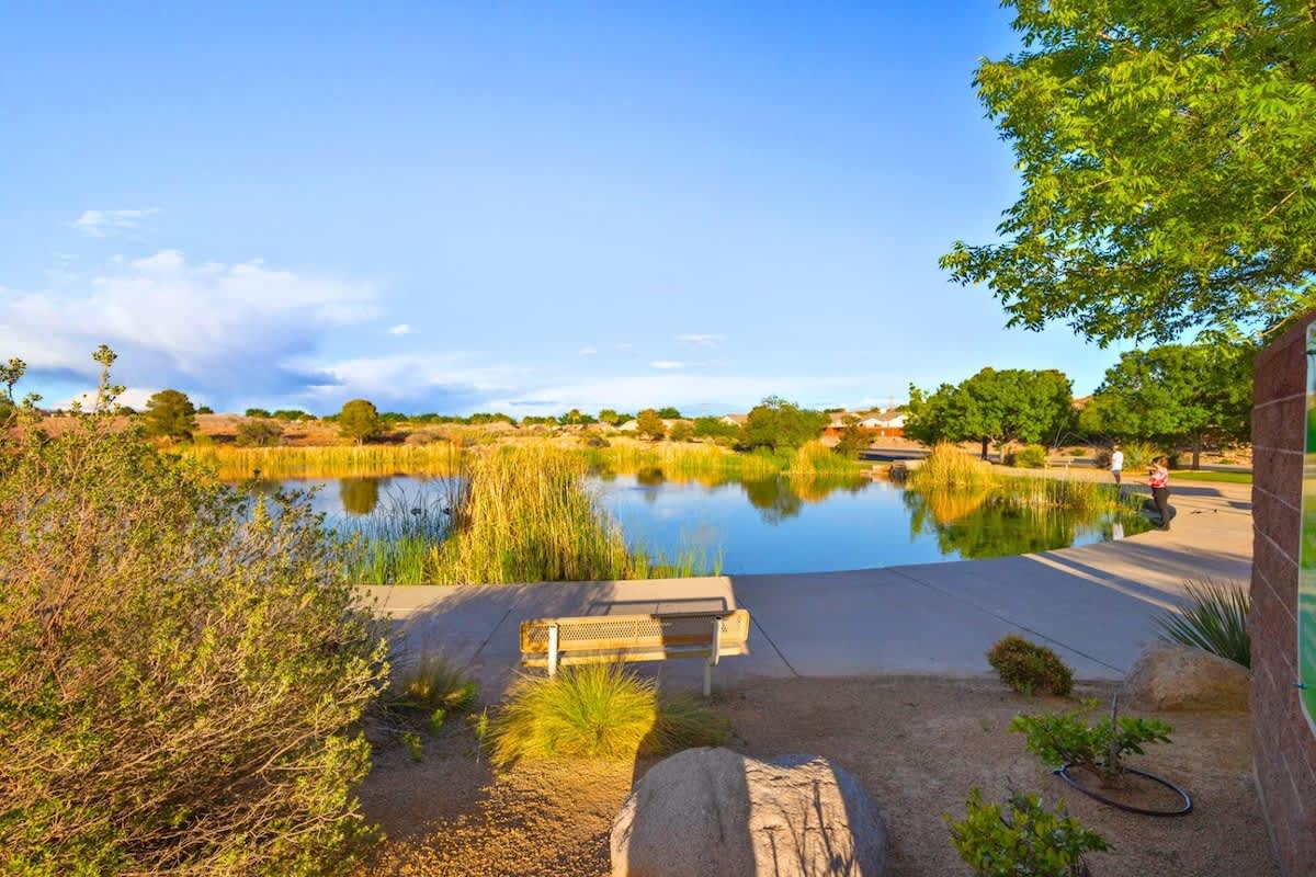 You can fish in the pond behind the house