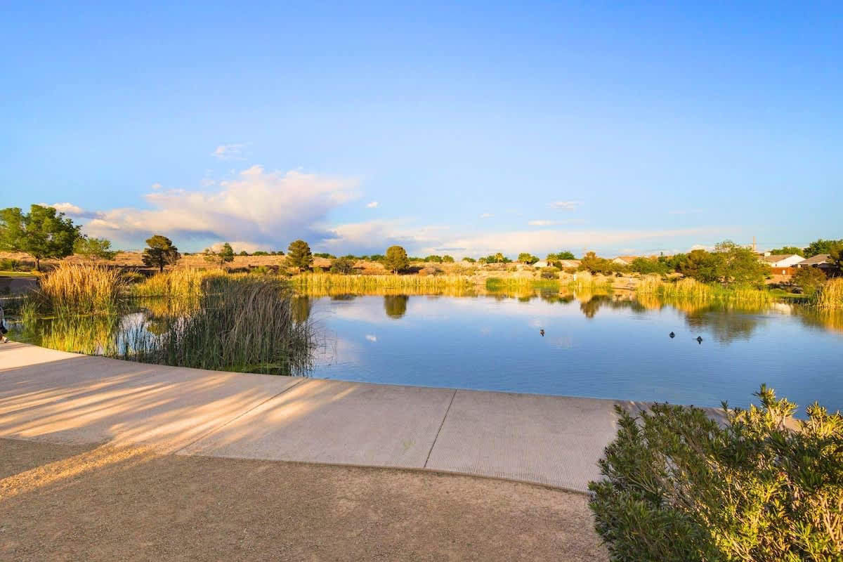 You can fish in the pond behind the house!