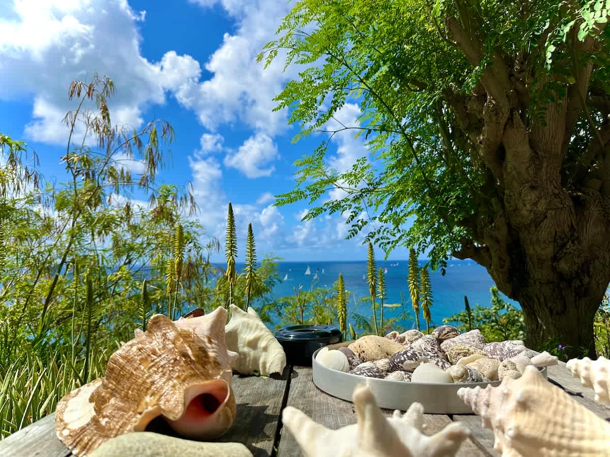 Infinity Views Indigo Bay SXM · Indigo Bay | SeaLaVie SXM — photo 12