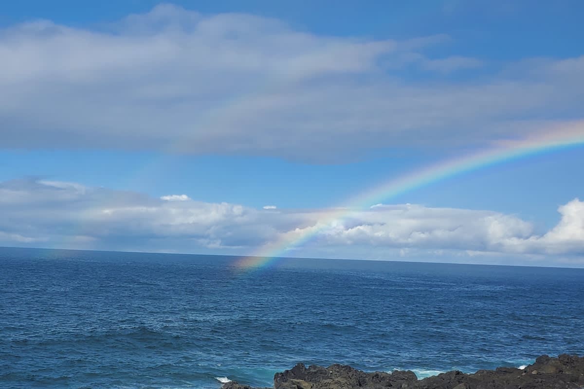 Oceanfront studio see whales and dolphins