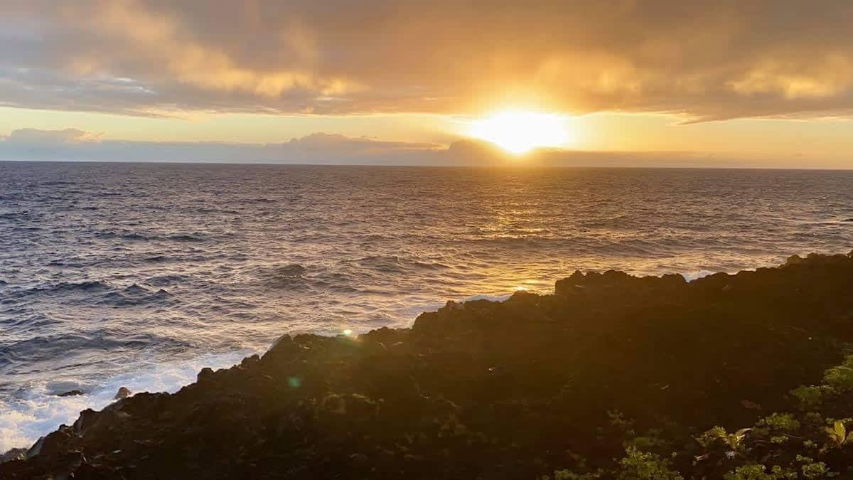 Oceanfront studio see whales and dolphins