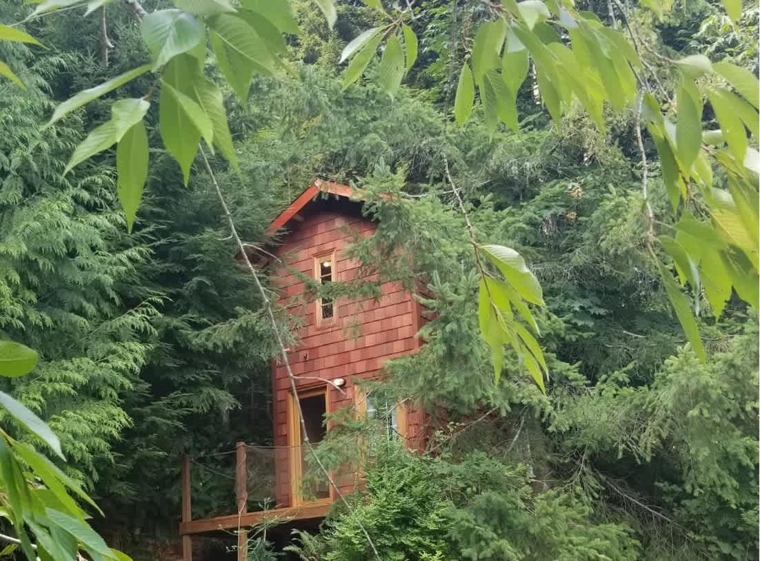 Large Estate Venue 2 hot tubs 2 treehouses - Picture 2