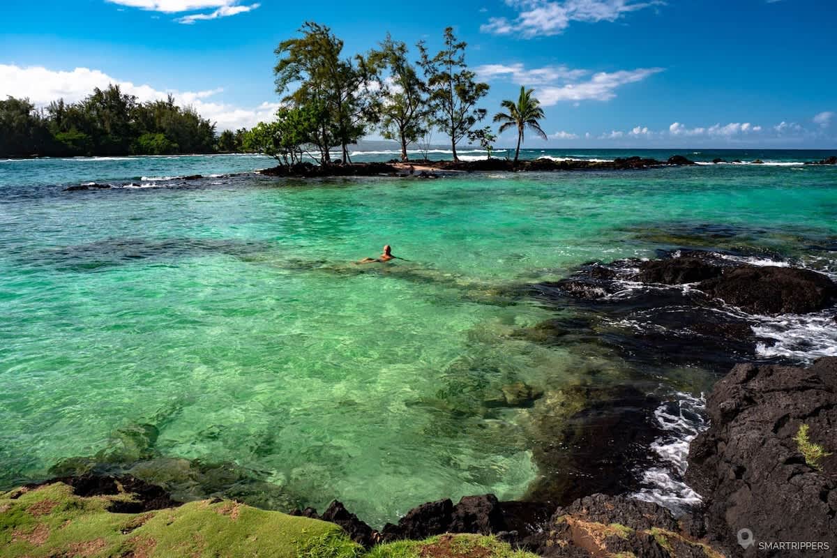 Oceanfront, Friendly Sea Turtles, Epic Snorkeling!