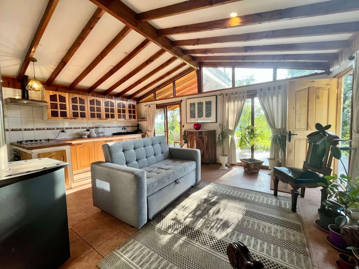  BUHO House Foresta BBQ Pet Swimming Pool Wifi