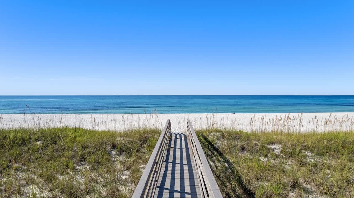 The Drift Away | Photo 5