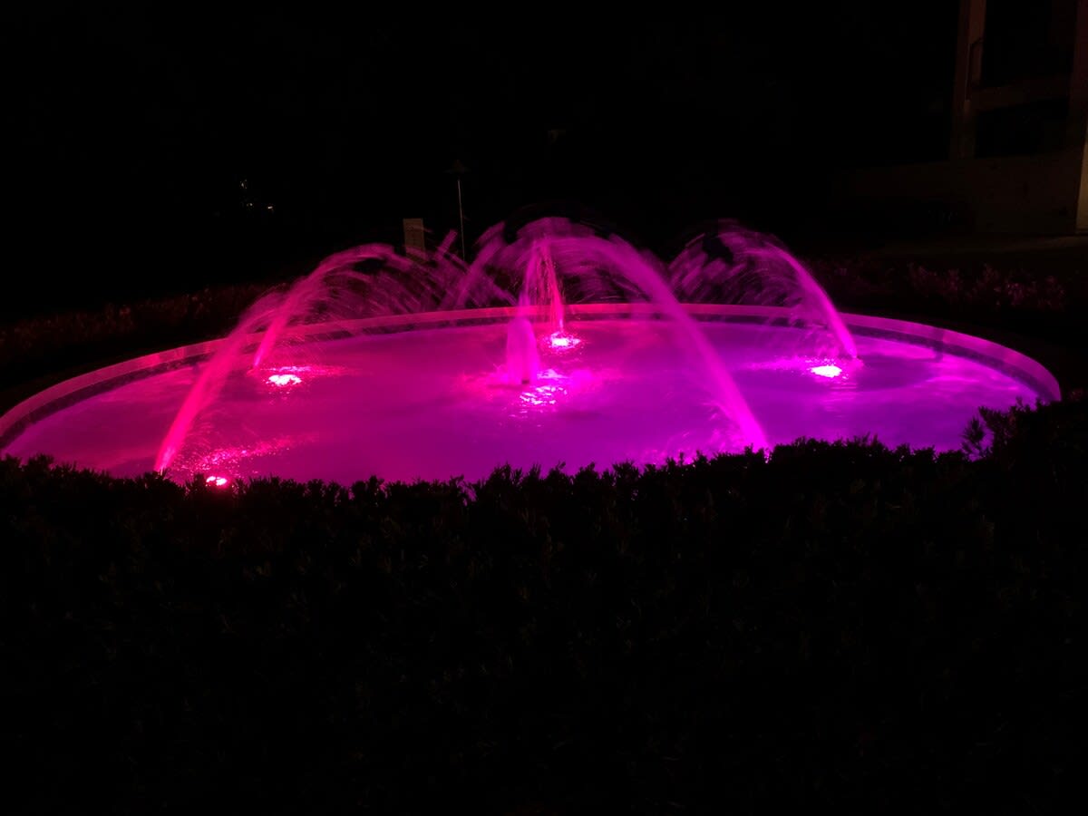 The Pointe 333 | Photo 41