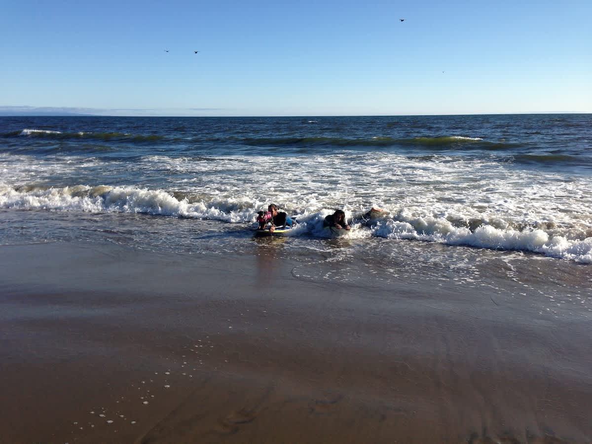 Boogie board with your pooch
