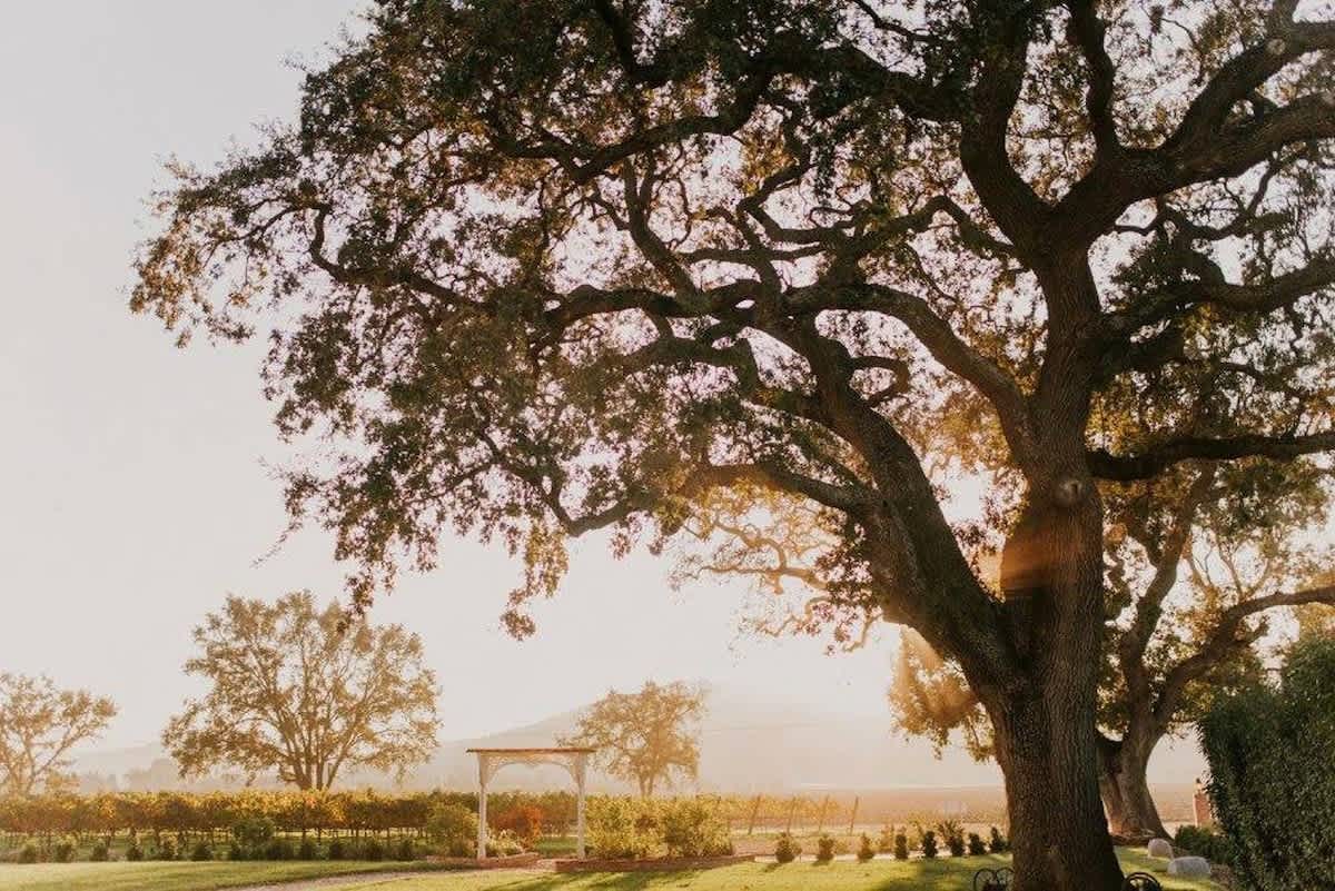 Spacious grounds, giant oak trees, and golden sunsets make the perfect setting for family vacations. Kids can play outdoors while parents relax with wine country views