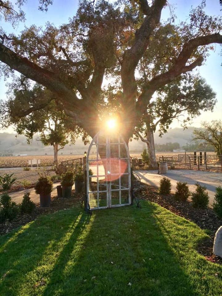 Golden sunsets & serene vineyard views create the perfect backdrop for corporate retreats, team building, or executive getaways in San Martin’s wine country.