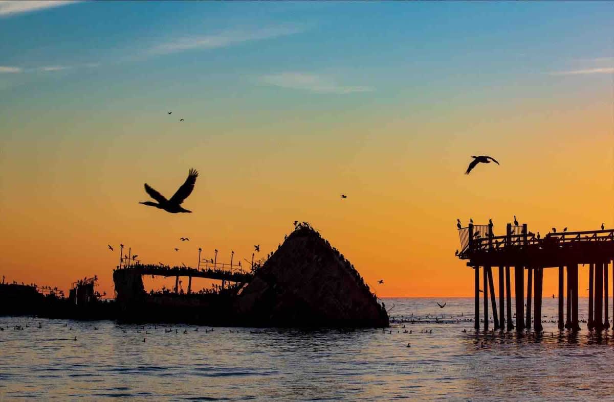 Catch golden hour at the historic Cement Ship in Aptos, a favorite for photographers, families, and couples. Watch pelicans soar and waves roll in along Monterey Bay’s most unique landmark.