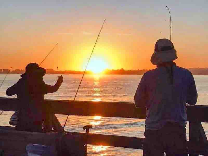 Cast a line off the Santa Cruz Wharf and reel in the sunset. Perfect for families, couples, and adventurers seeking authentic California coastal experiences.
