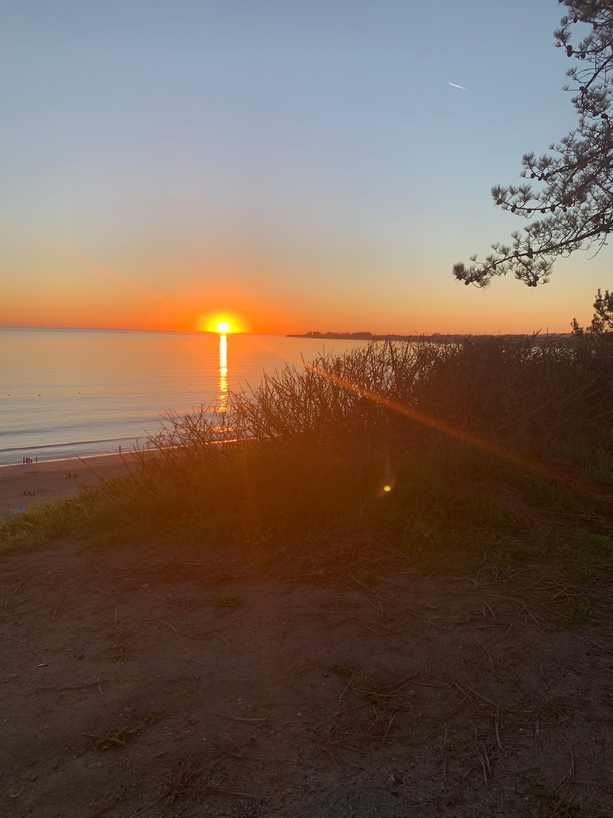 Take in unforgettable Aptos sunsets from the bluffs overlooking Monterey Bay—perfect for romantic evenings, family strolls, or peaceful reflection by the Pacific.