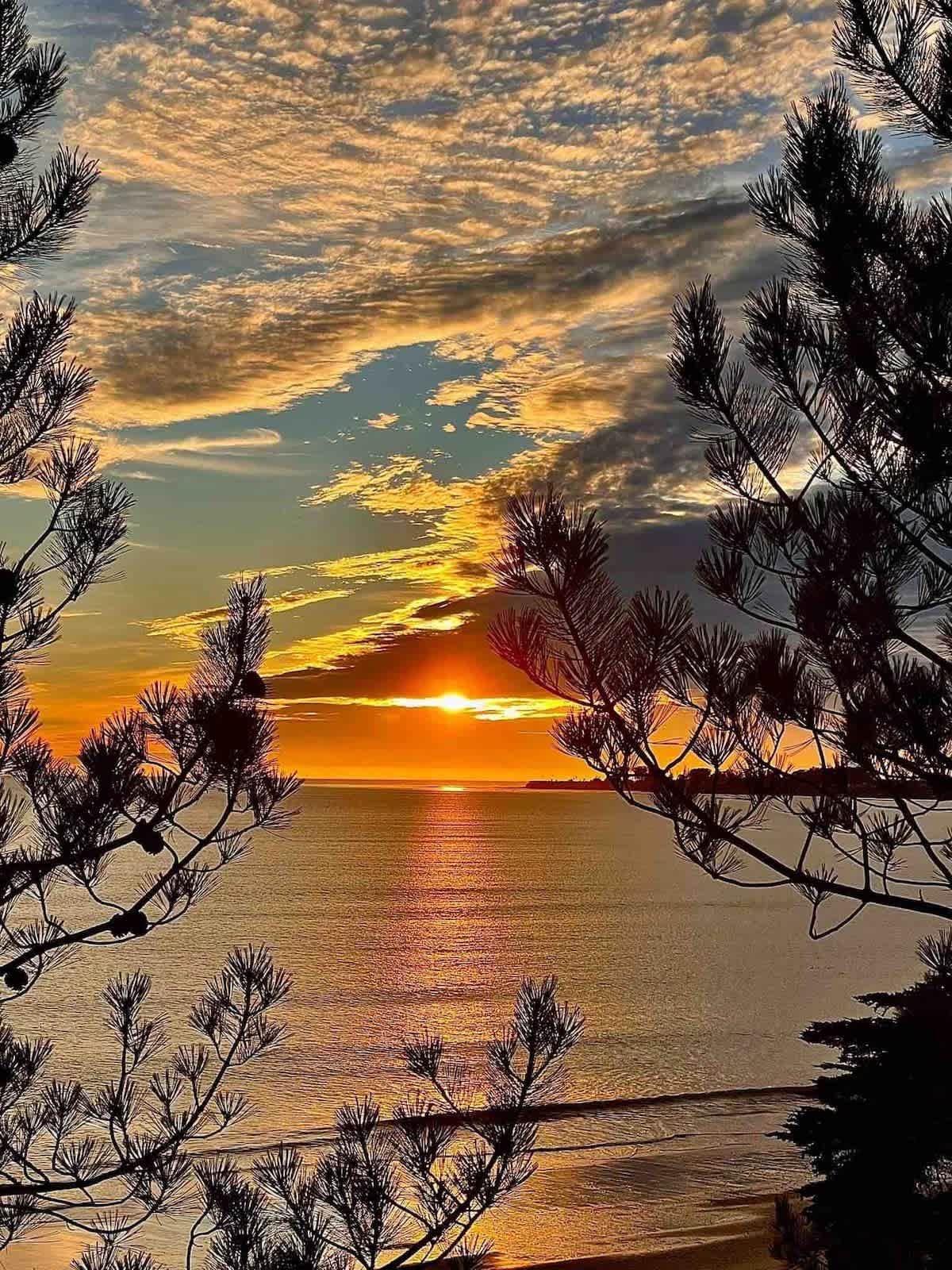 Golden Aptos sunsets framed by pine silhouettes—perfect for couples, families, or solo travelers seeking a peaceful coastal escape.