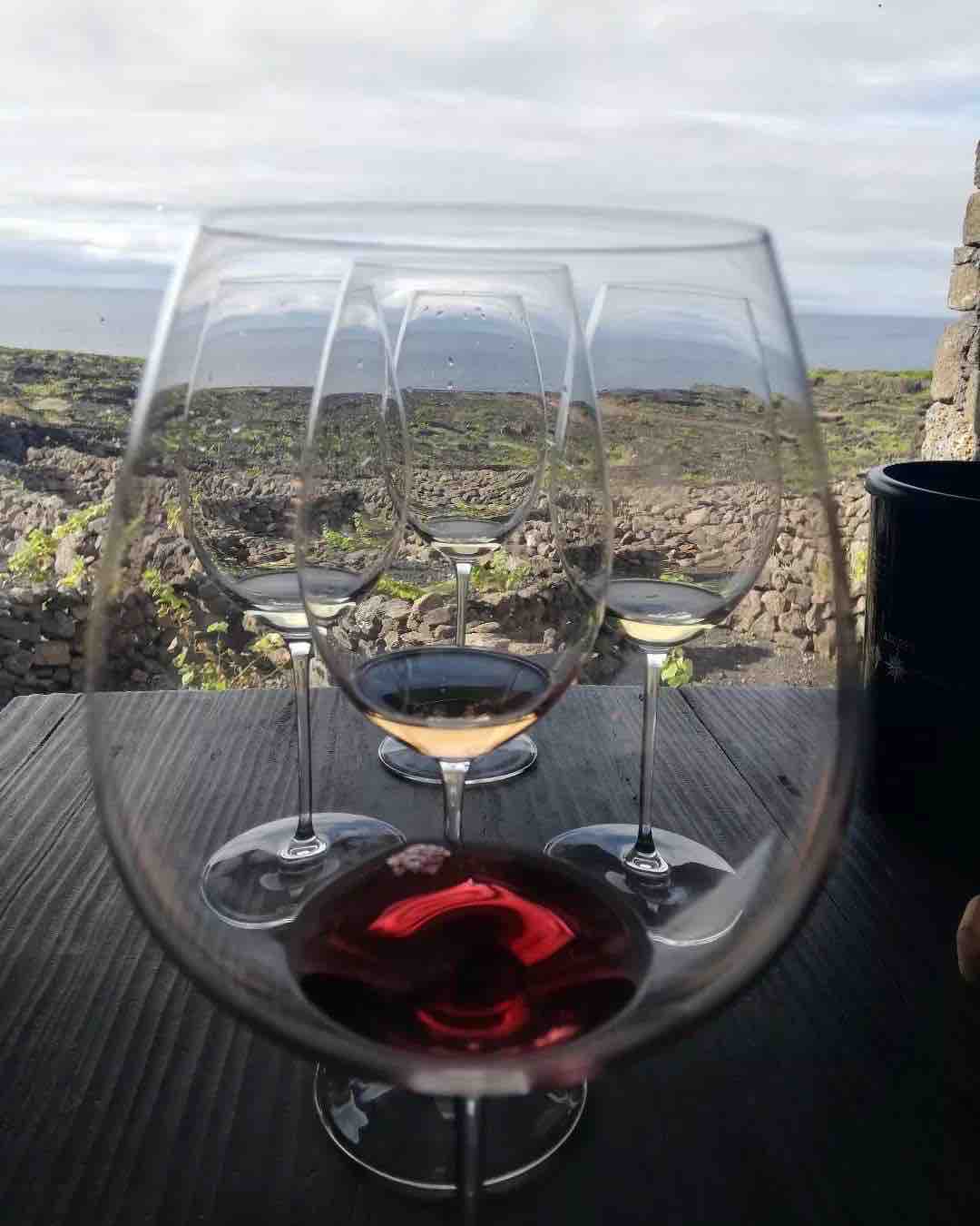 Indulge in some vino! Wine vineyard trails everywhere.