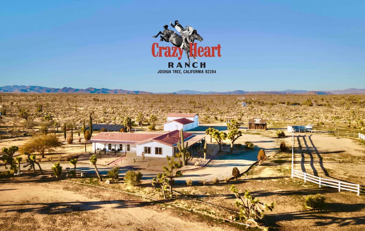 Sunny Sands – Crazy Heart Ranch