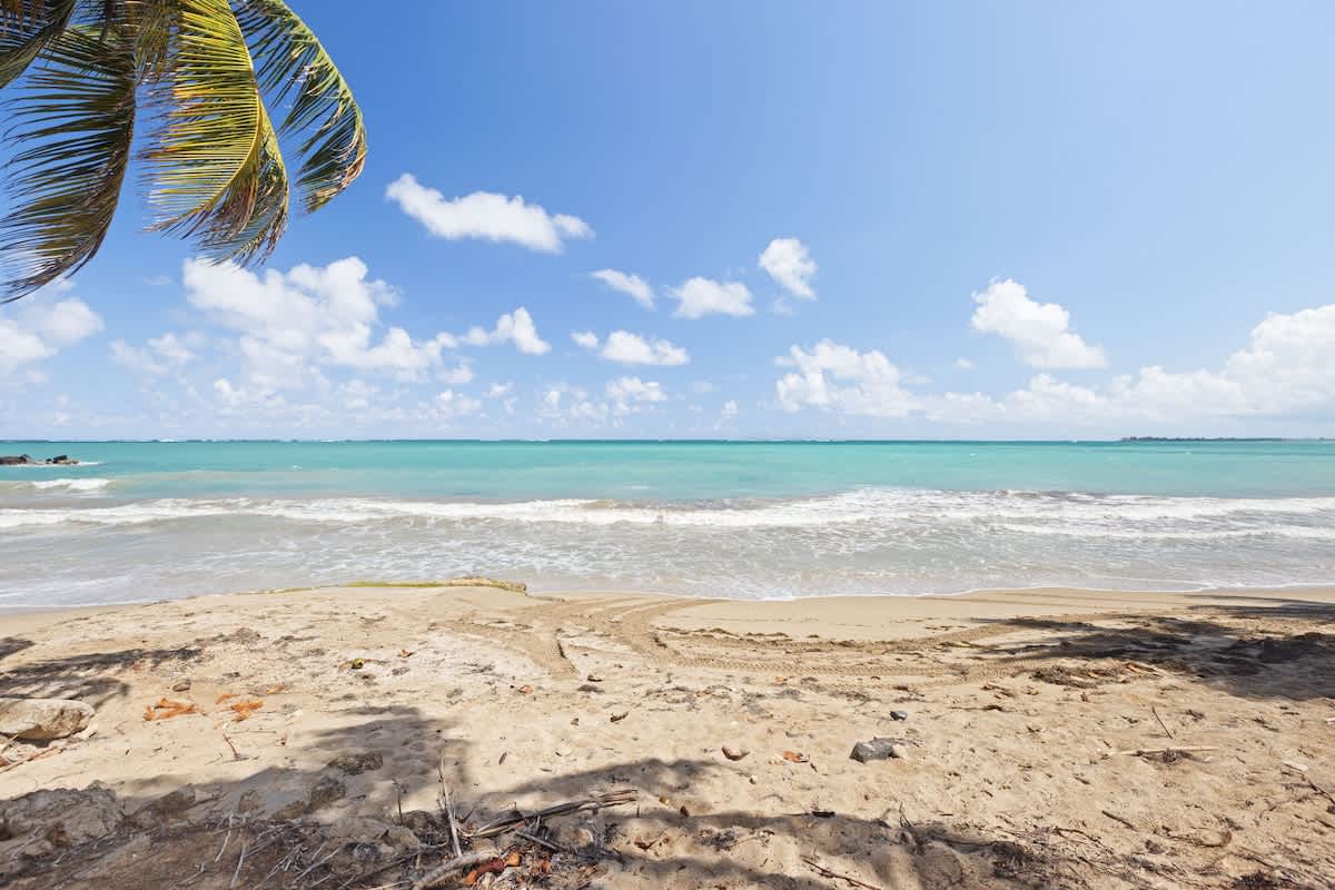 Luxurious Oceanfront Retreat | Seaside | Otium