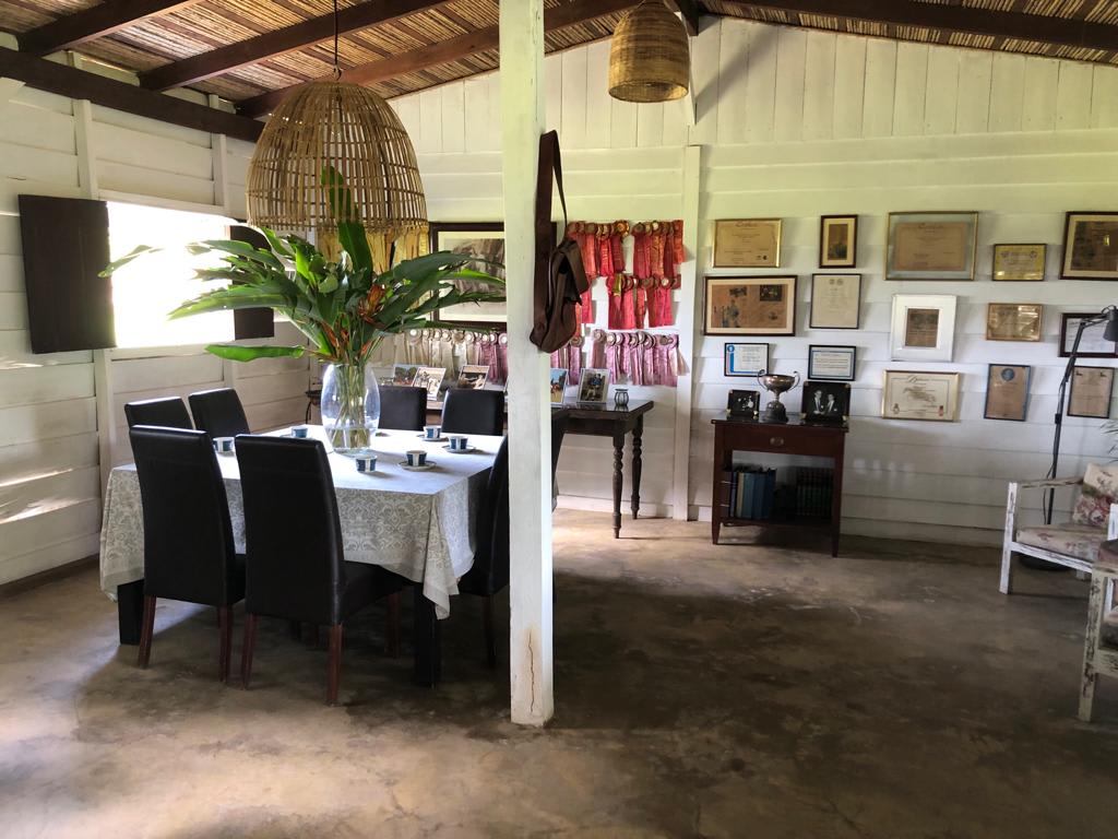 Eco-Volcanic Estate | Close to Nicaragua Border