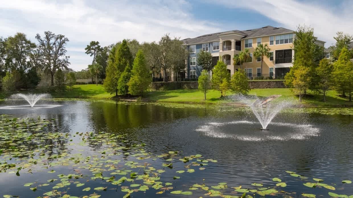 1st Floor Apt with Nature Views, Prime North Tampa