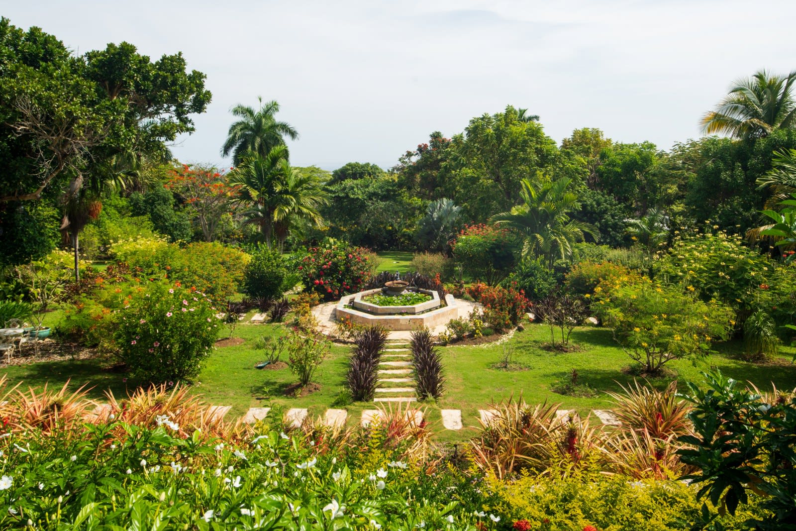 View 8