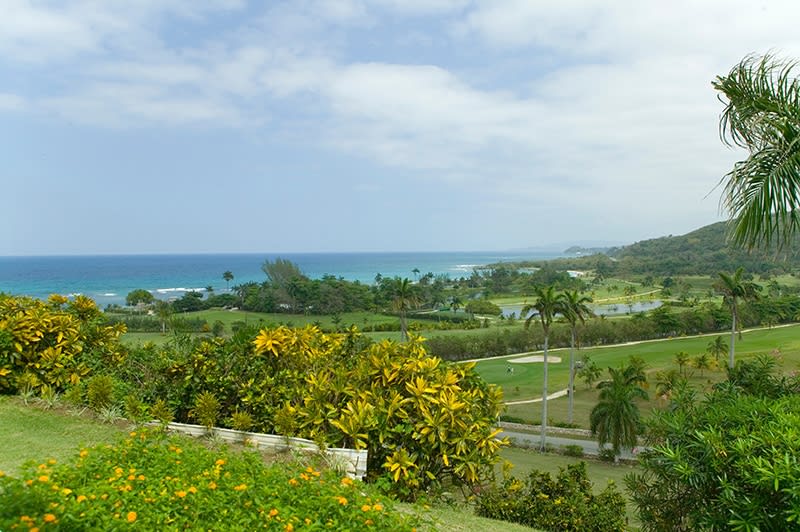 View 4