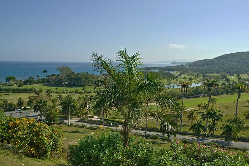 View 7