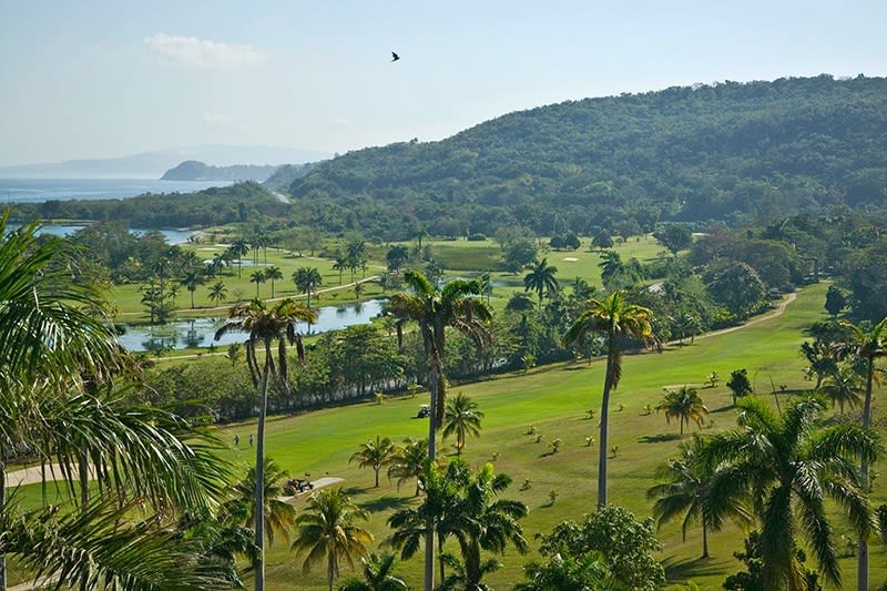View 8