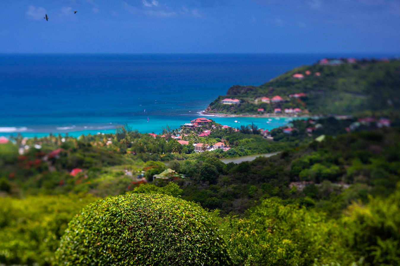 View 10