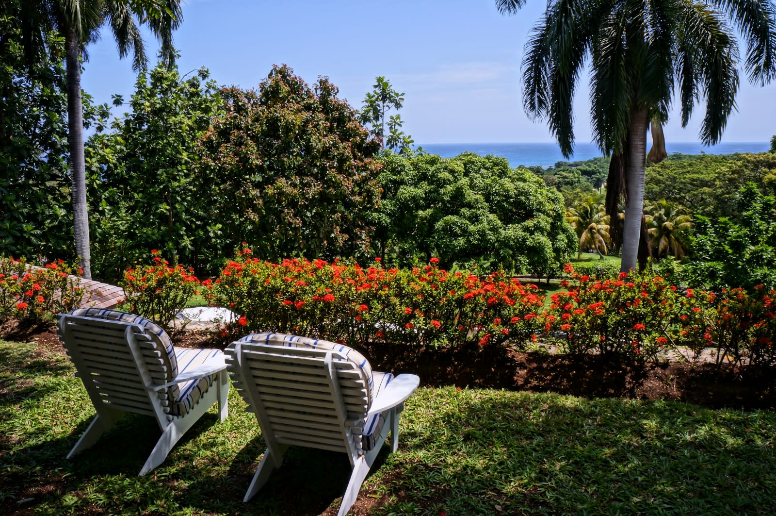 View 9
