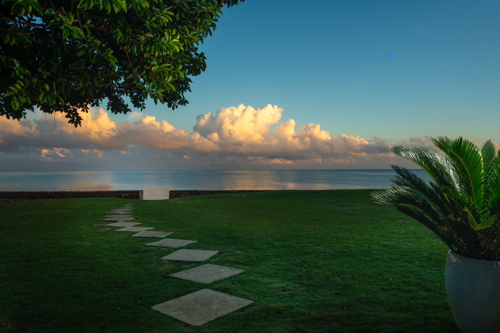 View 6