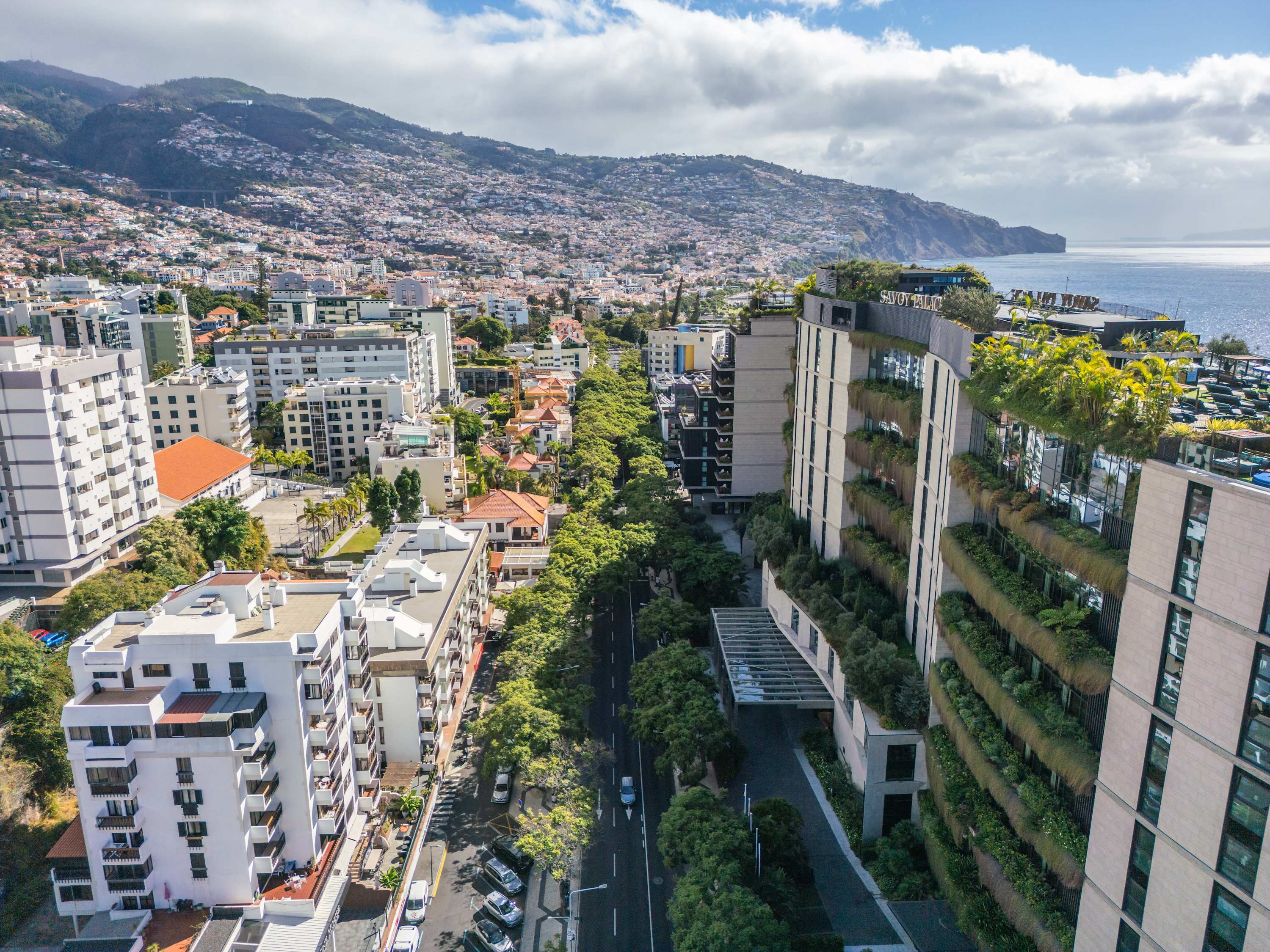 Funchal bay and amphitheatre of hills beyond the building