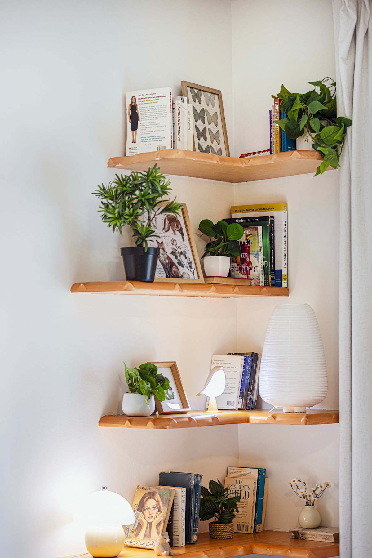The Reading Tree 