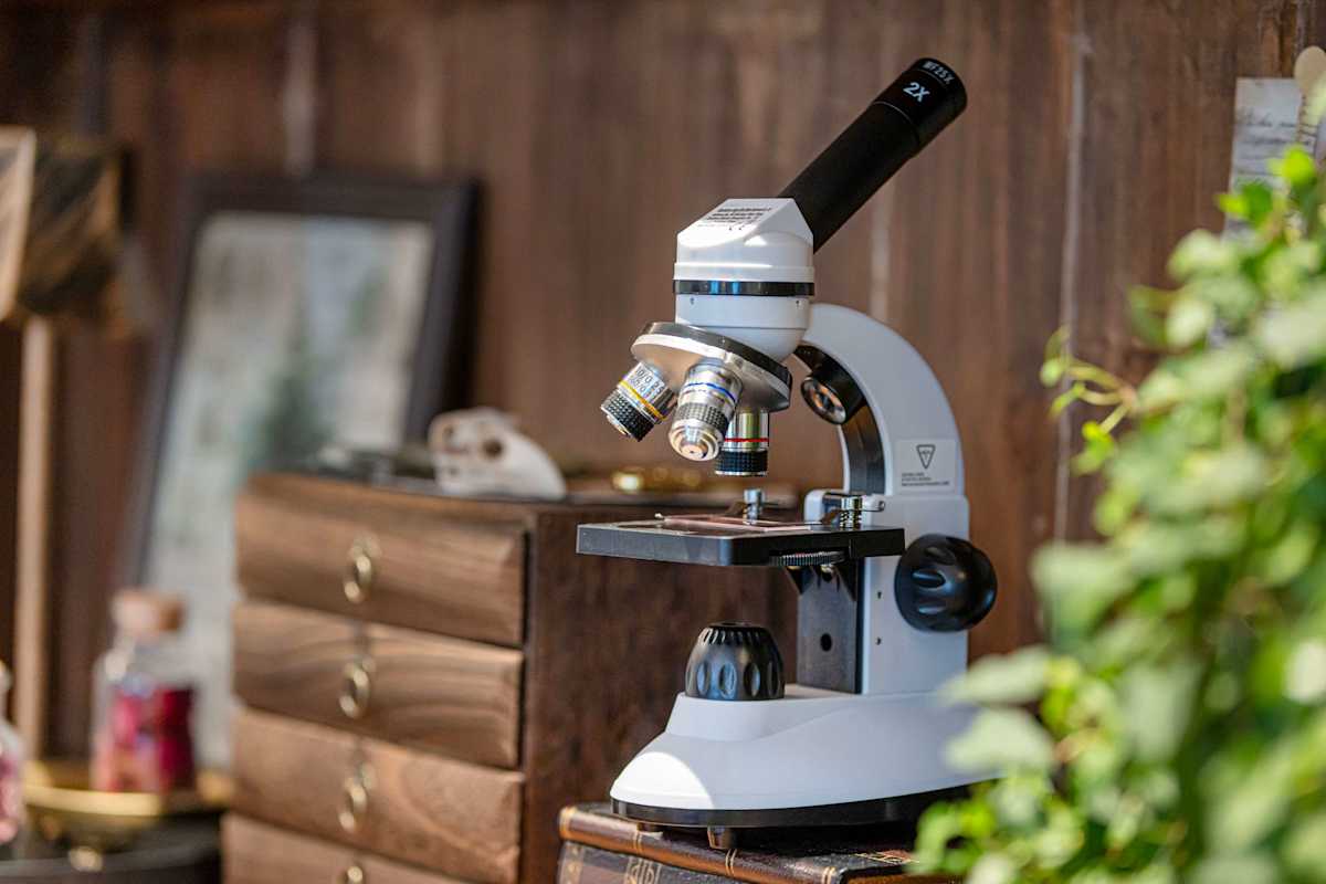 The Country House 
