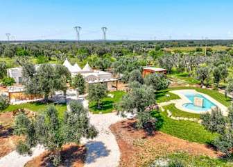 Swimming pool surrounded by lawns